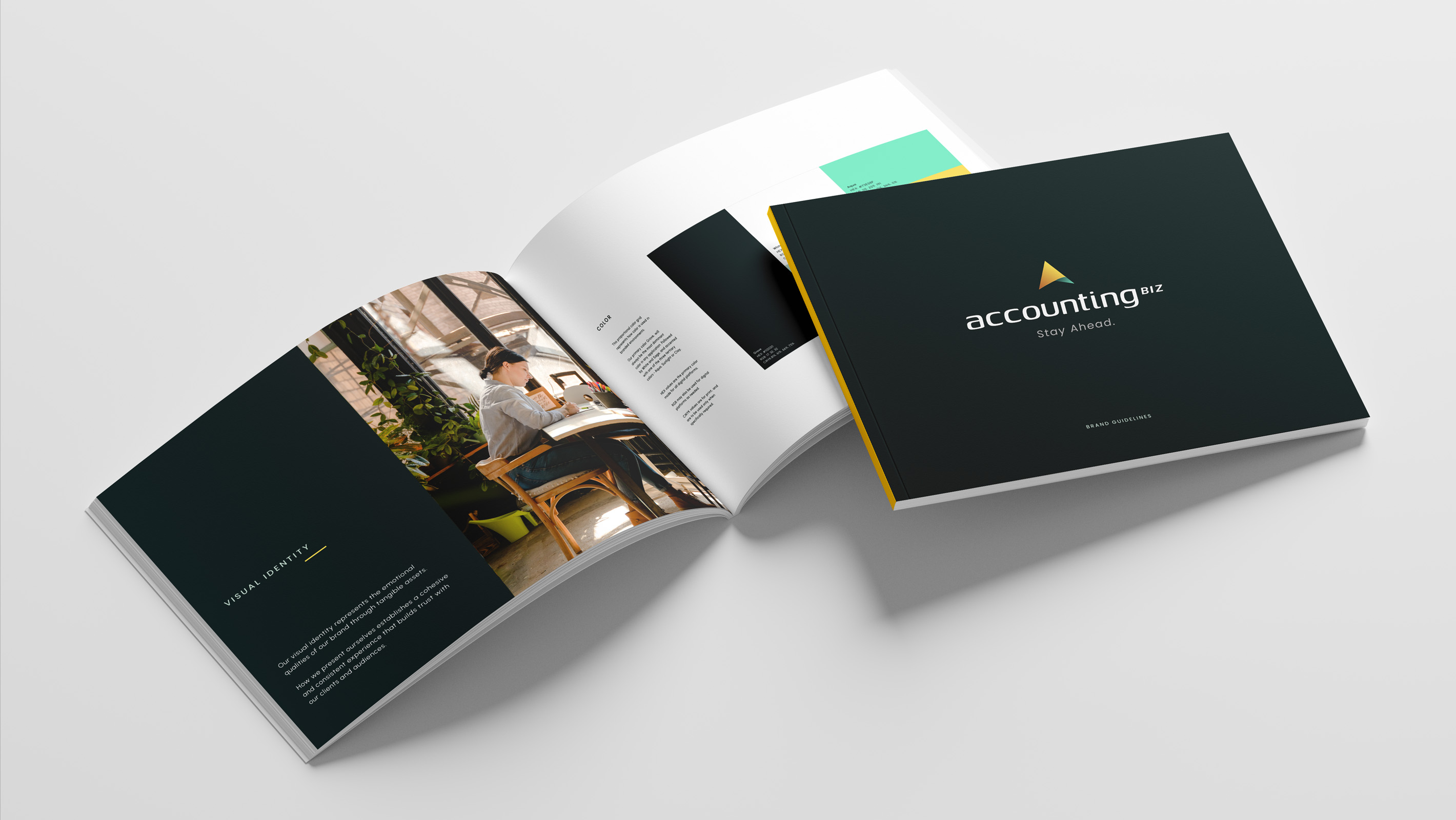 Accounting Biz - Brand Guidelines